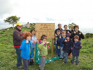 erice-piantati-20-alberelli-a-pizzo-corvo