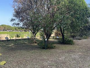 assostampa-sicilia-ricorda-mauro-rostagno-nel-giorno-del-suo-omicidio