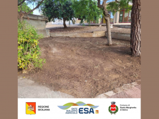 santa-margherita-nuove-risorse-per-la-cura-del-verde-urbano