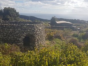 pantelleria-nasce-litinerario-dei-giardini-panteschi