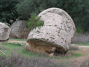 campobello-rinviata-per-motivi-di-sicurezza-la-giornata-ecologica-promossa-dal-comune