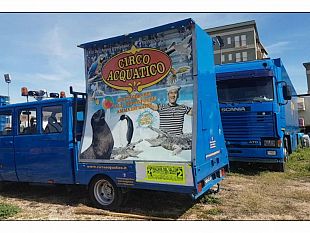 mazara-il-comune-con-volontari-interviene-per-far-fronte-a-difficolta-del-circo-acquatico