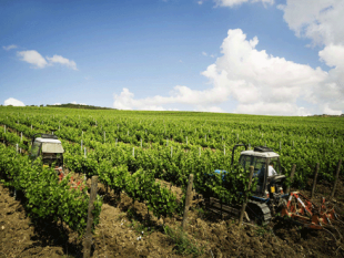 petrosino-assemblea-cia-rabbia-per-la-crisi-dell-agricoltura-prossima-riunione-31-ottobre