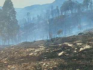 castellammare-del-golfo-sindaco-rizzo-sdegno-e-amarezza-per-il-terribile-incendio