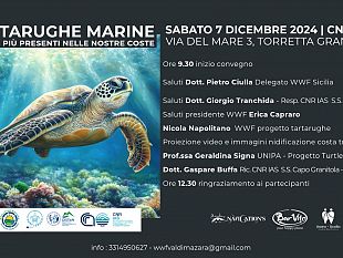 capo-granitola-convegno-sulle-tartarughe-marine-un-incontro-per-conoscerle-e-proteggerle