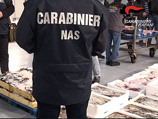 mazara/mazara-sequestrato-dai-nas-una-tonnellata-di-pesce-non-tracciato