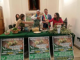 campobello-festa-di-presenze-e-sagra-di-qualita-per-festeggiare-lolio-e-le-olive-nocellara