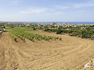 marsala-prevenzione-incendi-2026-obbligo-di-pulizia-dei-terreni-dal-15-maggio-prossimo