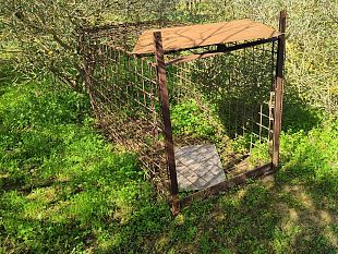 mazara-bracconaggio-nella-riserva-lago-preola-e-gorghi-tondi-sequestrata-gabbia-per-la-cattura-di-cinghiali