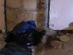 orrore-ad-alcamo-rinvenuti-cani-senza-vita-in-un-edificio