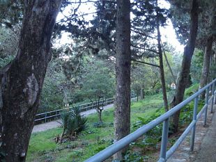 un-altro-incendio-nella-pineta-di-valderice