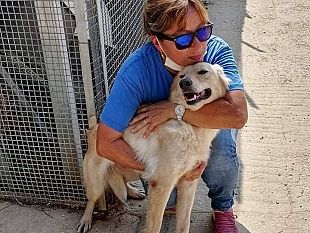 castelverano-eanna-calderone-oipa