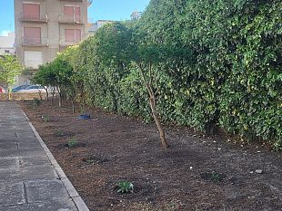 genitori-della-scuola-dellinfanzia-benedetto-croce-riqualificano-gli-spazi-esterni