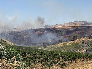 buseto-palizzolo-incendio-minaccia-il-bosco-di-scorace