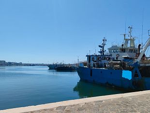 mazara-pesca-crisi-pesantissima-scoramento-e-apatia-fra-gli-operatori