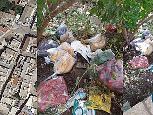 segnalazioni-del-cittadino-frutta-in-buste-abbandonata