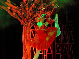 grande-successo-per-l-accademia-di-danza-the-royal-school-of-dancing