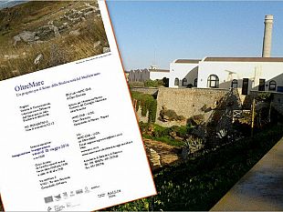 oltremare-un-progetto-per-il-futuro-della-biodiversita-del-mediterraneo