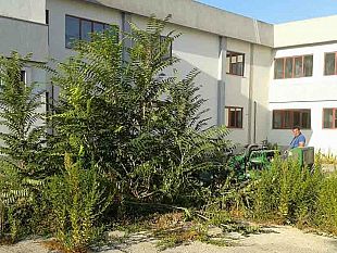 mazara-lavori-di-discerbatura-previsti-in-tutto-il-territorio-comunale