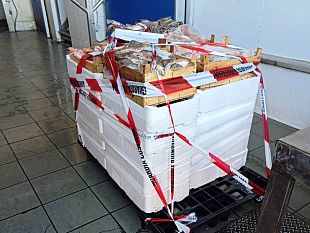 mazara-piazzetta-dello-scalo-operazione-interforze-contro-abusivismo-commerciale