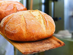 cna-trapani-contro-turano-grave-lassenza-di-un-regolamento-per-la-formazione-professionale