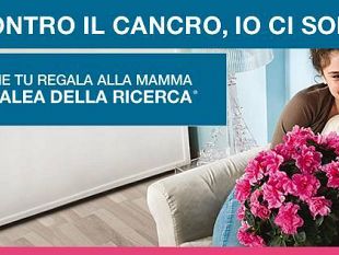 l-azalea-di-airc-un-alleata-per-la-ricerca-e-per-le-donne
