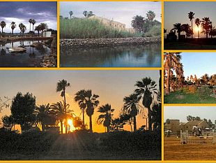 marsala-villa-genna-un-avviso-per-affidare-la-gestione-della-struttura