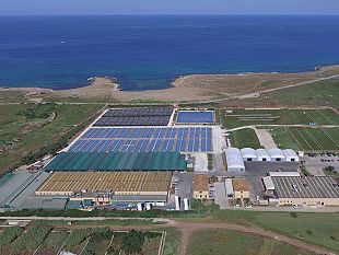 il-distretto-della-pesca-vicino-allazienda-acqua-azzurra-danneggiata-dal-maltempo