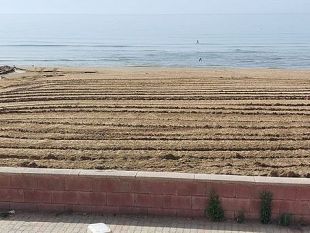 campobello-avviato-intervento-di-pulizia-straordinaria-sulla-spiaggia-di-tre-fontane