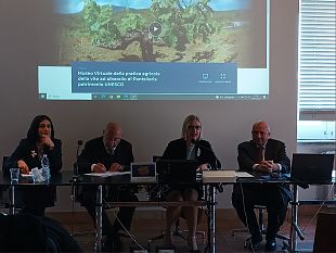 napoli-e-pantelleria-presentano-il-museo-virtuale-della-vite-ad-alberello