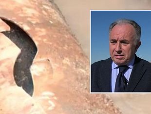 inquinamento-idrico-a-trapani-individuati-i-focolai-di-contaminazione-ma-resta-il-divieto-di-utilizzo-dellacqua