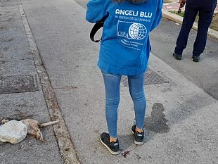 erice-questa-mattina-ritrovato-gatto-schiacciato-da-pietra-e-dato-alle-fiamme