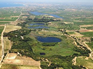 mazara-la-riserva-lago-preola-e-gorghi-tondi-protagonista-al-50-anniversario-della-giornata-mondiale-delle-zone-umide
