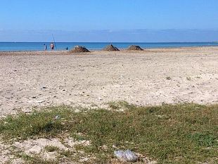 mazara-chiarimenti-sul-ricollocamento-delle-alghe-sulla-spiaggia-di-tonnarella