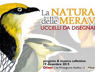 oliver-lancia-la-natura-delle-meraviglie-uccelli-da-disegnare-e-colorare