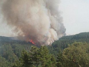 incendi-a-raffica-in-sicilia-il-governo-regionale-preferisce-le-promesse-alle-certezze