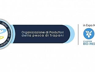 misilmeri-legalita-e-buone-pratiche-un-antidoto-contro-le-mafie