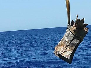 recuperati-rostri-e-spada-in-mare-egadi