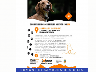 sambuca-al-via-la-giornata-gratuita-per-microchippare-i-cani