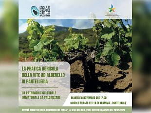 pantelleria-un-incontro-sulla-pratica-agricola-della-vite-ad-alberello