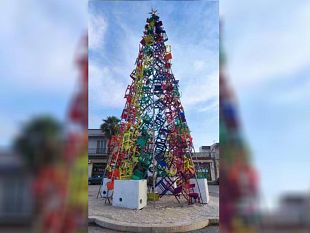 marsala-tutto-pronto-per-laccensione-dellalbero-dei-picciotti-di-strasatti