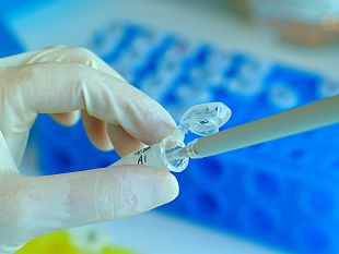 fondazione-humanitas-torna-il-premio-per-la-sicilia-che-fa-ricerca-oncologica