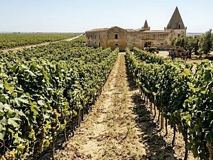 marsala-oltre-le-mura-la-repubblica-delle-cento-contrade