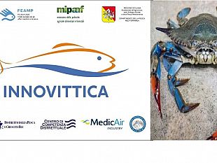 trapani/progetto-innovittica-come-trasformare-il-granchio-blu-da-criticita-in-risorsa-e-valore