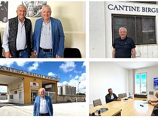 marsala-2026-mario-ragusa-propone-un-piano-green-per-il-rilancio-del-settore-vitivinicolo