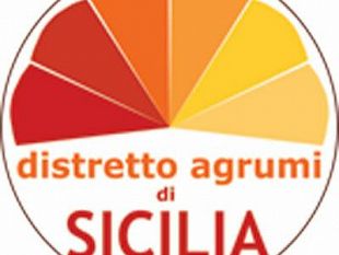 agrumi-il-distretto-al-blue-sea-land-di-mazara-con-frutta-fresca-granite-e-succhi-dop-igp-e-bio