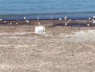 sindaco-cristaldi-su-abbandono-rifiuti