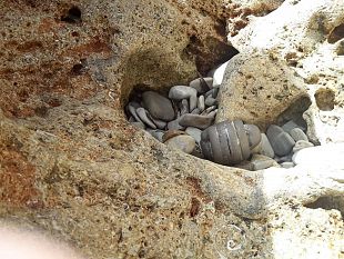 pizzolungo-ritrovato-ordigno-bellico-interdetta-qualsiasi-tipo-di-attivita