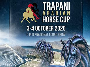 trapani-arabian-horse-cup-manifestazione-al-via-sabato-3-ottobre