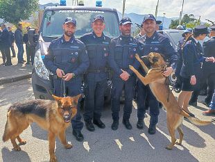 trapani-rinvenuta-droga-al-carcere